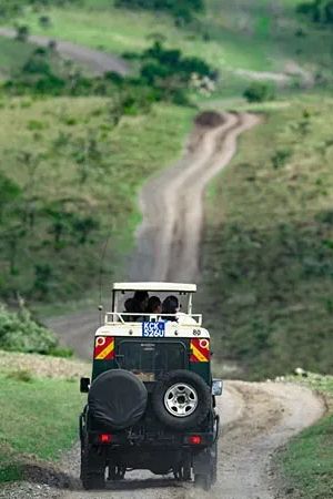 Best Kenya Safaris: 8 Top places for the ultimate safaris in Kenya