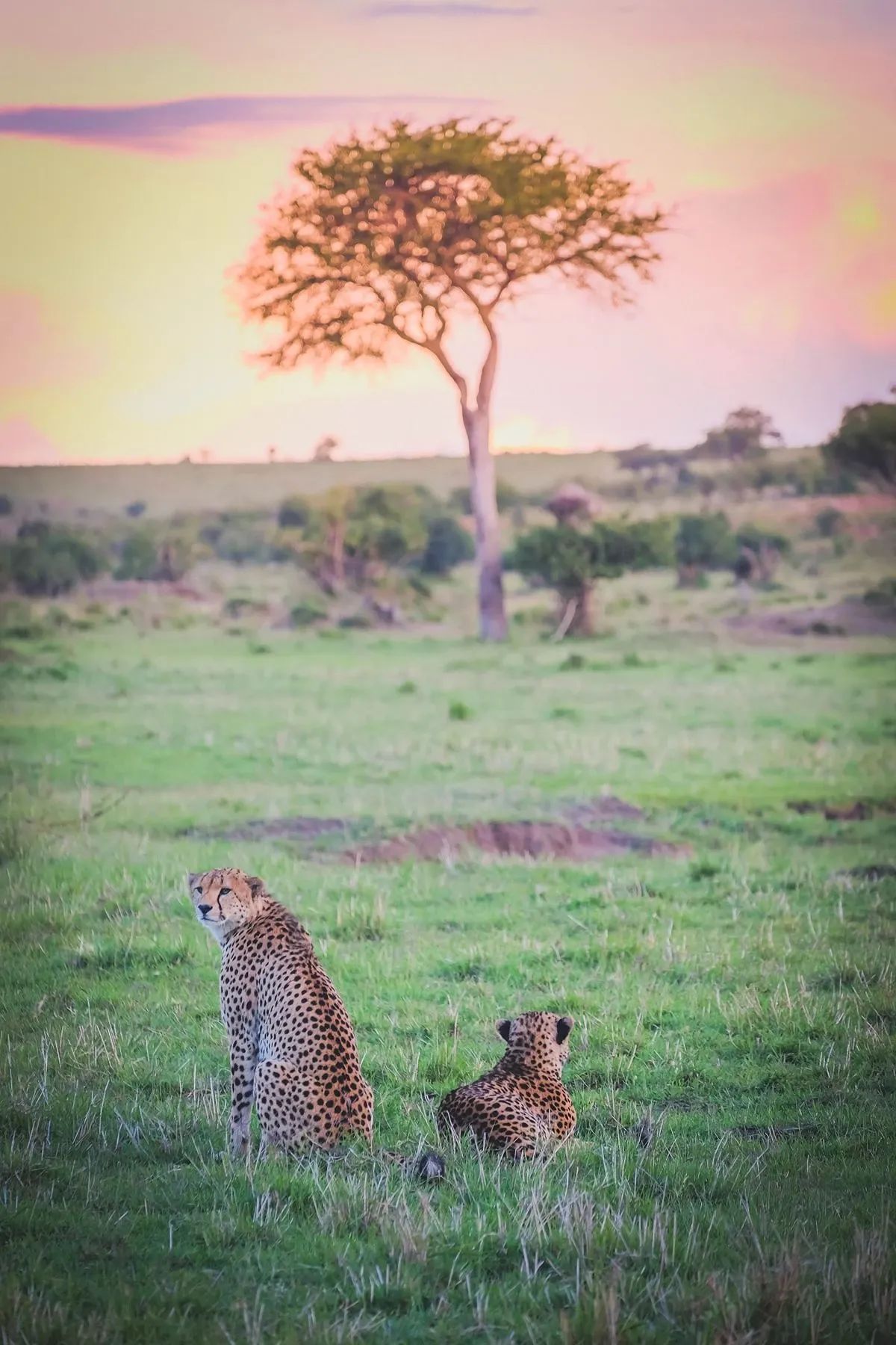 A very practical question about tipping