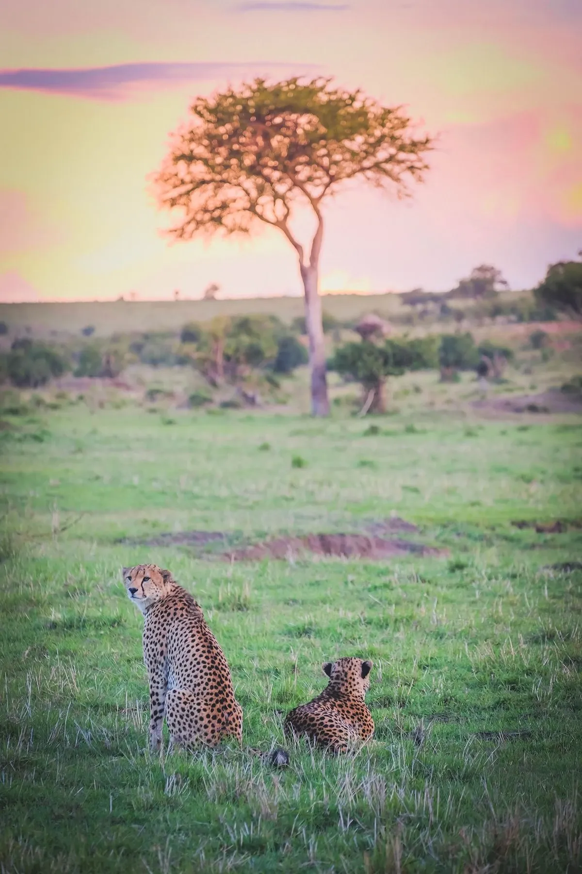 A very practical question about tipping