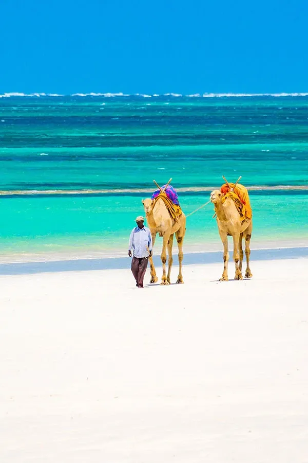 The Ultimate Kenya Beach Guide: Sun, Sand, and Swahili Culture