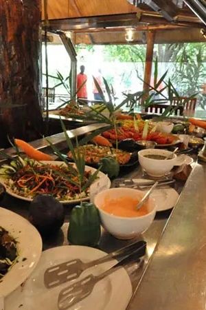 for migration next year， which camp?