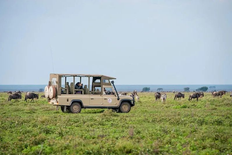 Green Season Comparison: Kenya vs. Tanzania