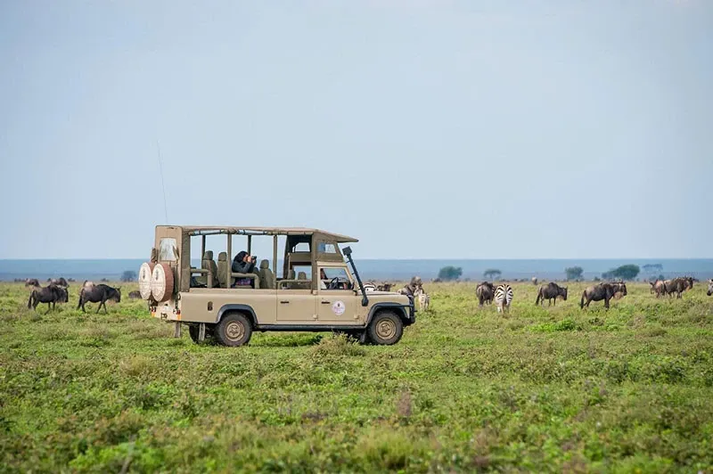 Green Season Comparison: Kenya vs. Tanzania
