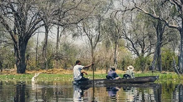 How Much Does a Botswana Safari Cost? 2026 Price Guide