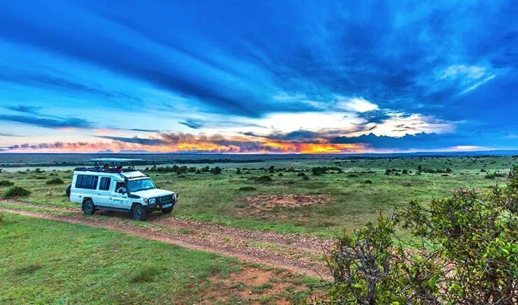 How Much Does a Kenya Safari Cost? A Comprehensive 2026 Price Guide