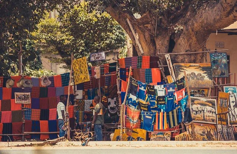 How Much Does a Tanzania Safari Cost? The Ultimate 2026 Price Guide