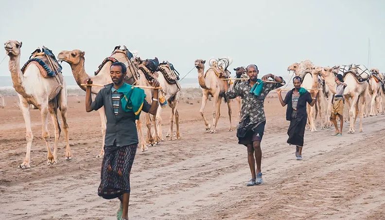 How Much Money Do You Need to Visit Ethiopia? (2026 Travel Budget Guide)