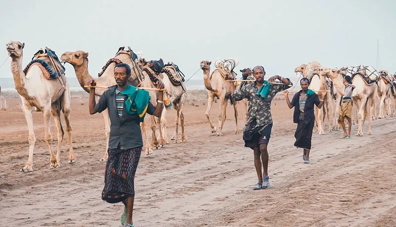 How Much Money Do You Need to Visit Ethiopia? (2026 Travel Budget Guide)