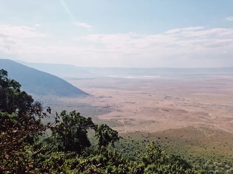 Ngorongoro Crater Safari Guide: Wildlife, Costs & Best Time to Visit