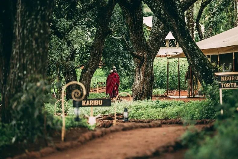 Best lodging Ngorongoro Crater (w/comfort for elderly)?