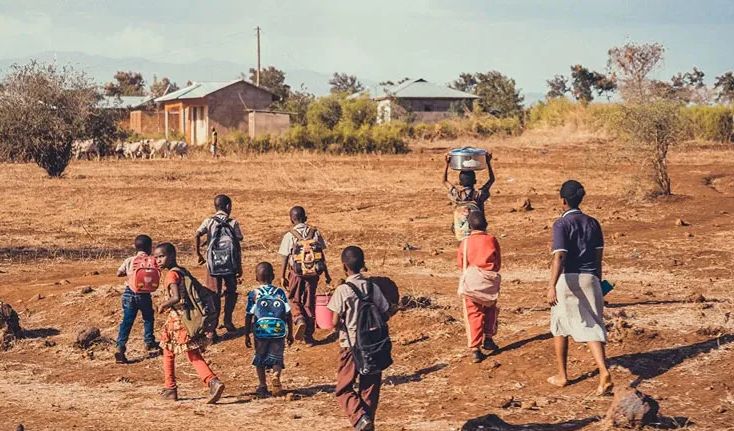 Safari Circuits in Tanzania: Northern vs. Southern Routes