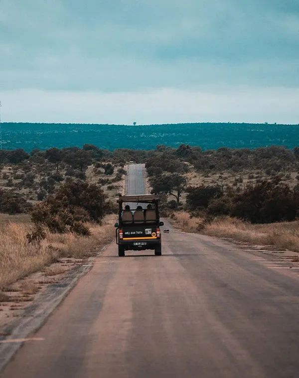 Safari Planning: Itineraries and Accommodation