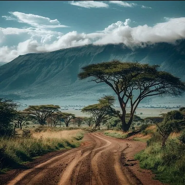 February Safari/Beach itinerary advice