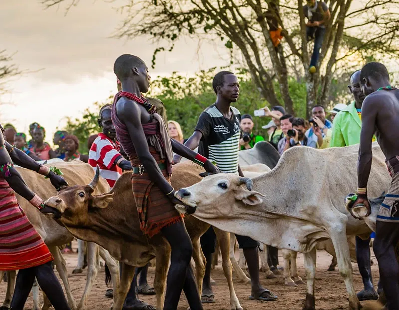 The Best Time to Visit Ethiopia