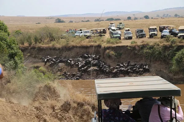 10 Bucket List Things to Do in the Masai Mara: The Ultimate 2026 Guide