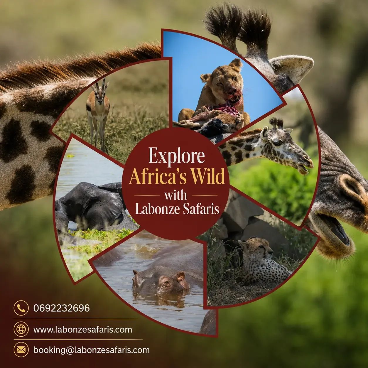 Ultimate Tanzania Safari Guide: Explore the Best Wildlife Destinations