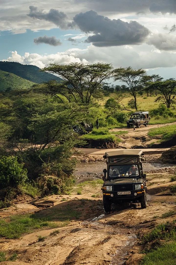 How much should I budget for a safari?