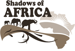 Shadows Of Africa