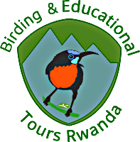 Birding and Educational Tours Ltd