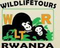 Wildlife Tours - Rwanda