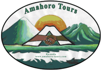 Amahoro Tours
