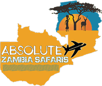 Absolute Zambia Safaris