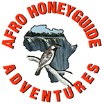 Afro Honeyguide Adventures