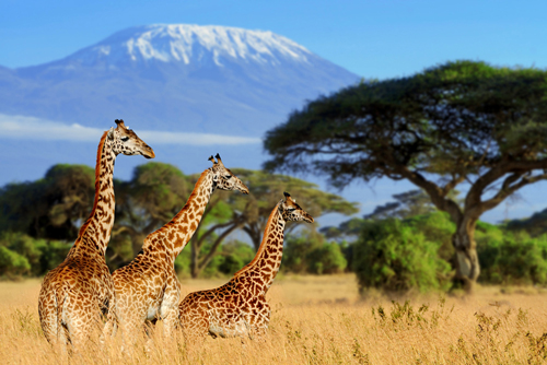 Kenya