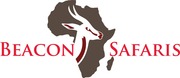 Beacon Safaris